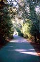 Sunday_Morning_Campus_Road