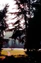 Sunday_Morning_LSB