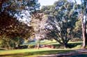Sunday_Morning_West_Campus