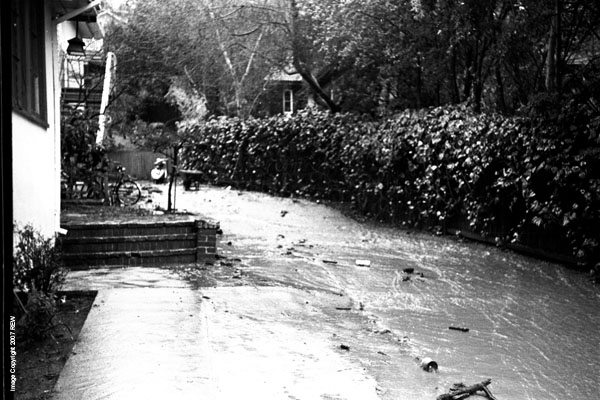 The_Driveway