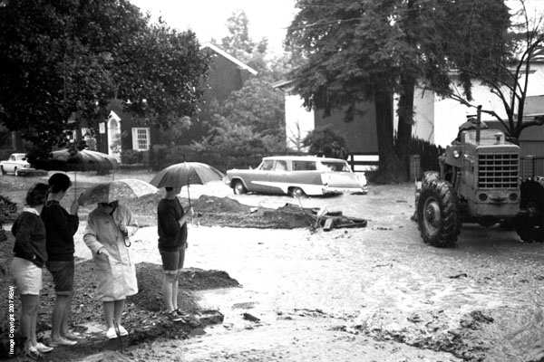 The_Phi_Mus_and_the_Flood
