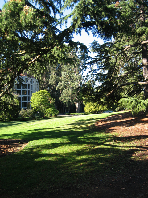 08-Great_Lawn