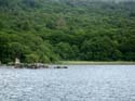 14a-IMG_1189
