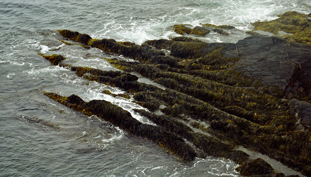 Shoreline, The Ovens, NS