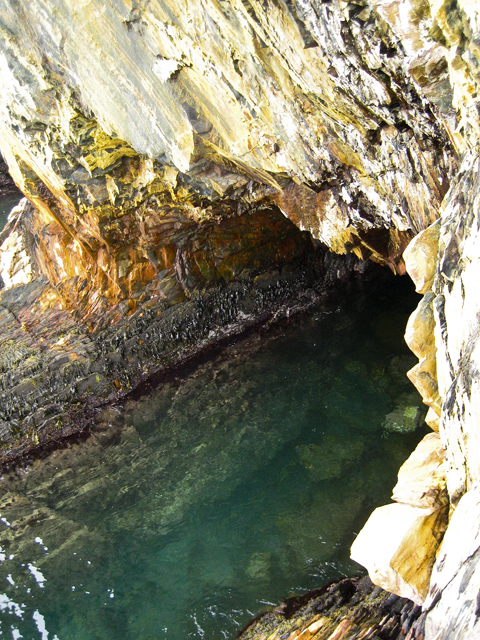 Cliffside caves, The Ovens, NS