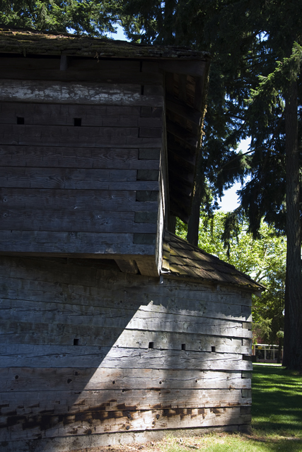 164_new_B_DSC_0115