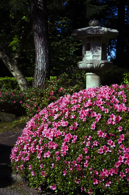 176_new_B_DSC_0134