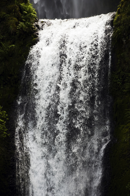 17_new_DSC_0065