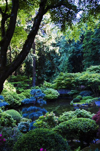 180_new_B_DSC_0140