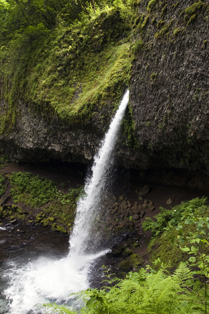 21_new_DSC_0087