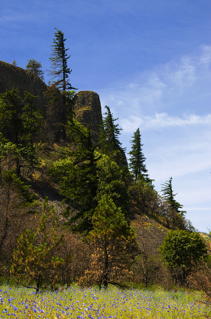 40_new_DSC_0136