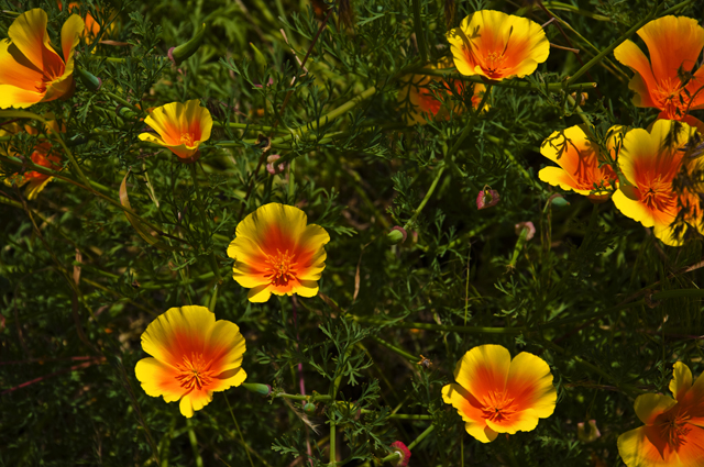 47_new_DSC_0149