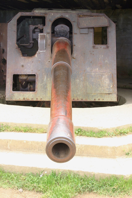 Emplacement Gun