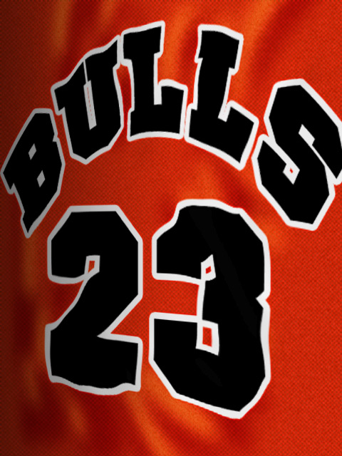 Bulls 23