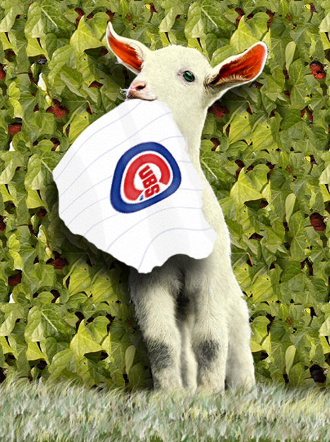 Billygoat curse