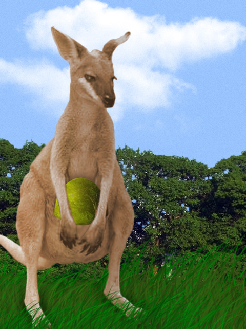 Easter Kangaroo