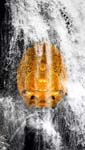 Buddha & waterfall