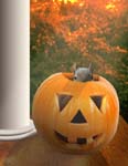 Jack-o'-Squirrel