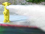 Hydrant flush