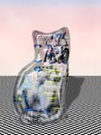 Glass Cat